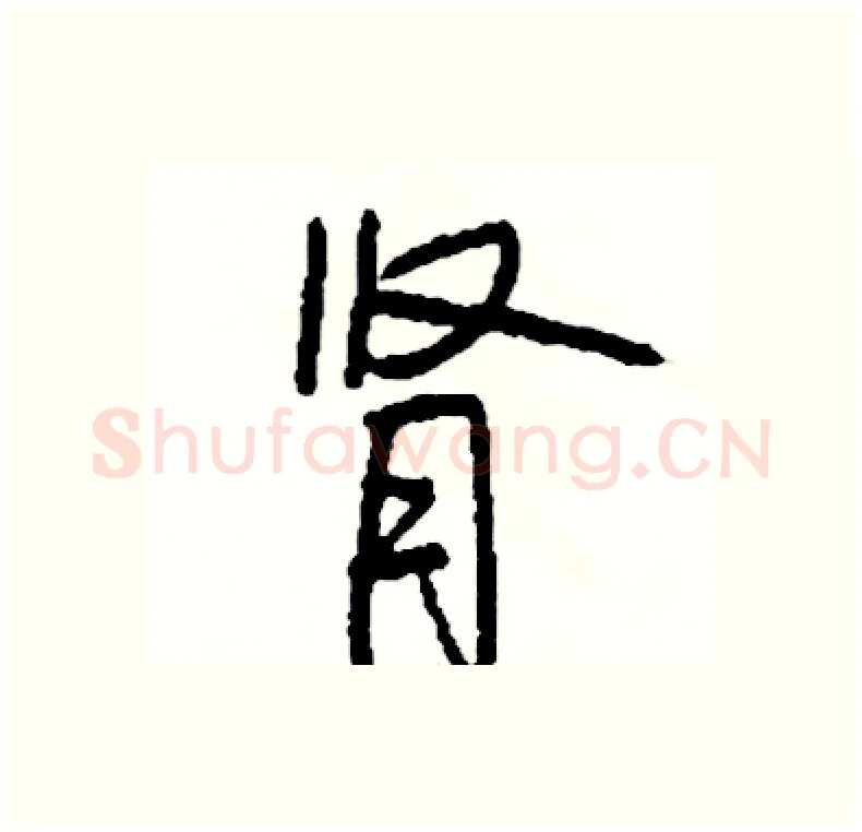 肾硬笔行书写法,摘自司惠国硬笔书法字帖