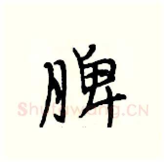 脾硬笔行书写法,摘自段相林硬笔书法字帖