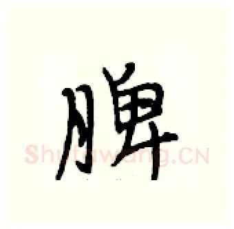 脾硬笔行书写法,摘自段相林硬笔书法字帖