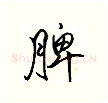 脾硬笔行书写法,摘自骆恒光硬笔书法字帖