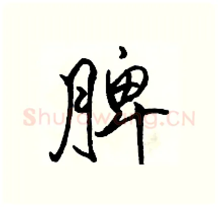 脾硬笔行书写法,摘自骆恒光硬笔书法字帖