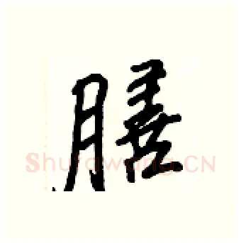 膳硬笔行书写法,摘自王正良硬笔书法字帖