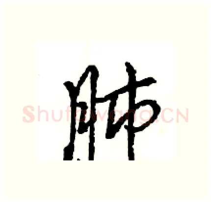 肺硬笔行书写法,摘自王旻硬笔书法字帖