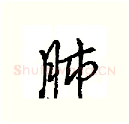 肺硬笔行书写法,摘自王旻硬笔书法字帖