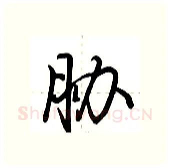 胁硬笔行书写法,摘自荆霄鹏硬笔书法字帖