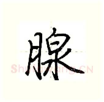 腺硬笔行书写法,摘自荆霄鹏硬笔书法字帖