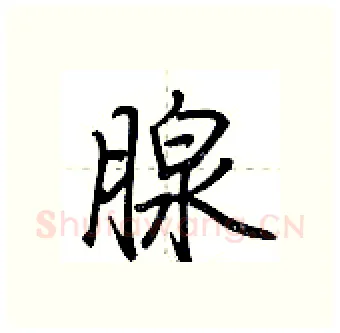 腺硬笔行书写法,摘自荆霄鹏硬笔书法字帖