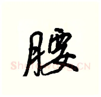 腰硬笔行书写法,摘自王正良硬笔书法字帖
