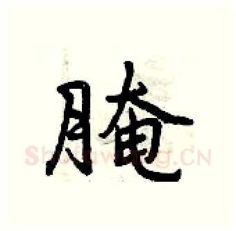 腌硬笔行书写法,摘自曾庆福硬笔书法字帖