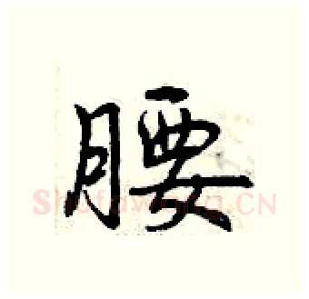 腰硬笔行书写法,摘自曾庆福硬笔书法字帖