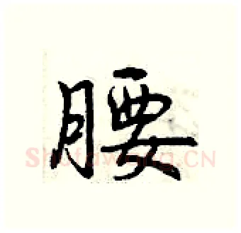 腰硬笔行书写法,摘自曾庆福硬笔书法字帖