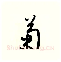 菊硬笔行书写法,摘自梁锦英硬笔书法字帖