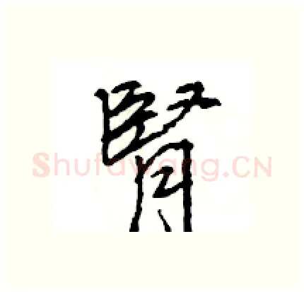 腎硬笔行书写法,摘自王旻硬笔书法字帖