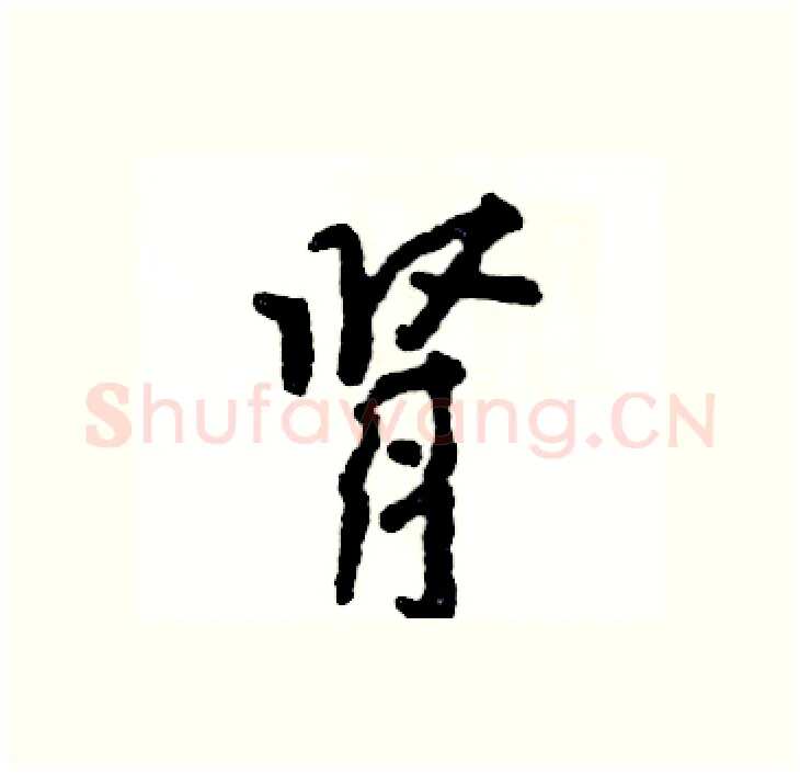 肾硬笔行书写法,摘自张恒成硬笔书法字帖