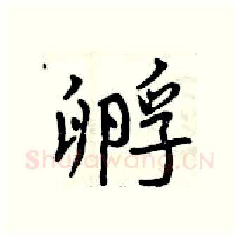 孵硬笔行书写法,摘自曾庆福硬笔书法字帖