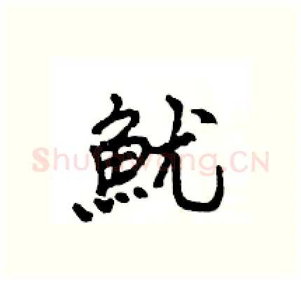 魷硬笔行书写法,摘自王旻硬笔书法字帖
