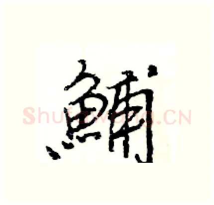 鯆硬笔行书写法,摘自王旻硬笔书法字帖