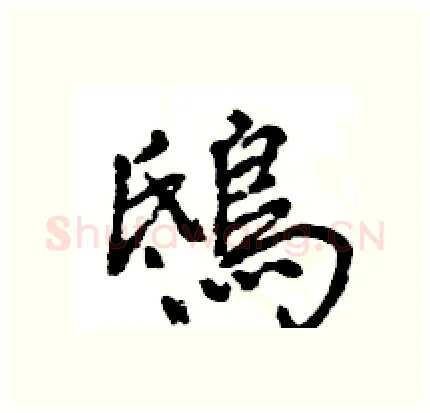 鴟硬笔行书写法,摘自王旻硬笔书法字帖