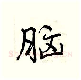 脑硬笔行书写法,摘自曾庆福硬笔书法字帖