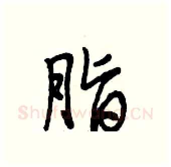 脂硬笔行书写法,摘自段相林硬笔书法字帖