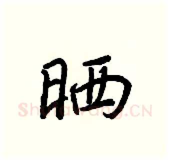 晒硬笔行书写法,摘自王正良硬笔书法字帖
