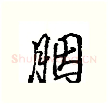 胭硬笔行书写法,摘自王旻硬笔书法字帖