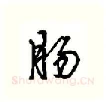 肠硬笔行书写法,摘自沈鸿根硬笔书法字帖