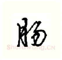 肠硬笔行书写法,摘自沈鸿根硬笔书法字帖