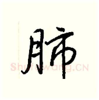 肺硬笔行书写法,摘自王正良硬笔书法字帖