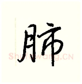 肺硬笔行书写法,摘自王正良硬笔书法字帖