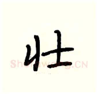 壮硬笔行书写法,摘自段相林硬笔书法字帖