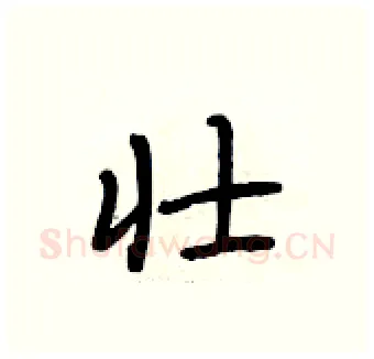 壮硬笔行书写法,摘自段相林硬笔书法字帖