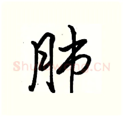 肺硬笔行书写法,摘自骆恒光硬笔书法字帖