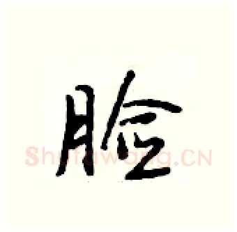 脸硬笔行书写法,摘自段相林硬笔书法字帖