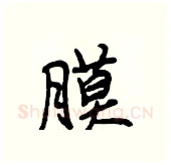膜硬笔行书写法,摘自段相林硬笔书法字帖