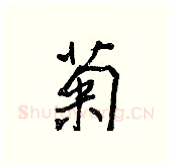 菊硬笔行书写法,摘自王正良硬笔书法字帖