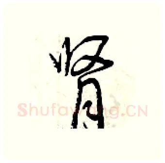 肾硬笔行书写法,摘自曾庆福硬笔书法字帖