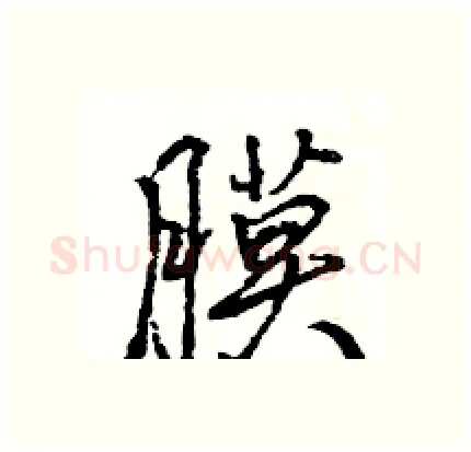 膜硬笔行书写法,摘自王旻硬笔书法字帖