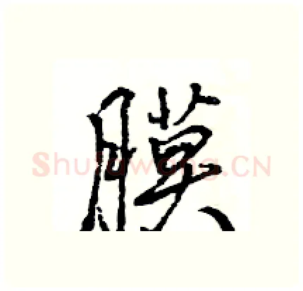 膜硬笔行书写法,摘自王旻硬笔书法字帖
