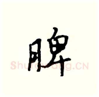脾硬笔行书写法,摘自吴身元硬笔书法字帖