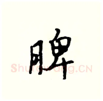 脾硬笔行书写法,摘自吴身元硬笔书法字帖