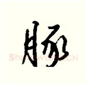 豚硬笔行书写法,摘自钱沛云硬笔书法字帖