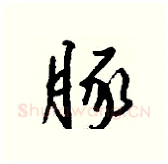 豚硬笔行书写法,摘自钱沛云硬笔书法字帖