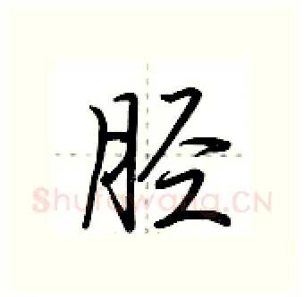 胫硬笔行书写法,摘自荆霄鹏硬笔书法字帖