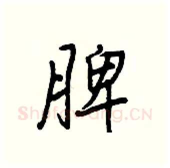 脾硬笔行书写法,摘自王正良硬笔书法字帖