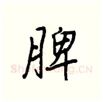 脾硬笔行书写法,摘自王正良硬笔书法字帖