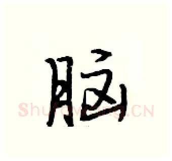 脑硬笔行书写法,摘自段相林硬笔书法字帖
