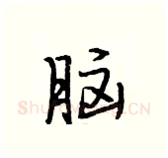 脑硬笔行书写法,摘自段相林硬笔书法字帖