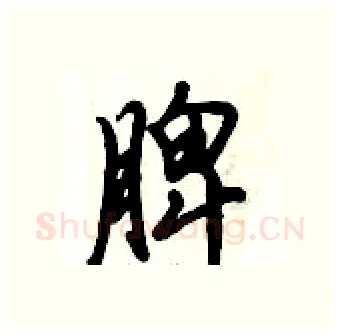 脾硬笔行书写法,摘自倪伟林硬笔书法字帖