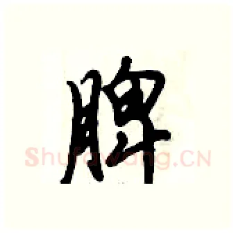 脾硬笔行书写法,摘自倪伟林硬笔书法字帖